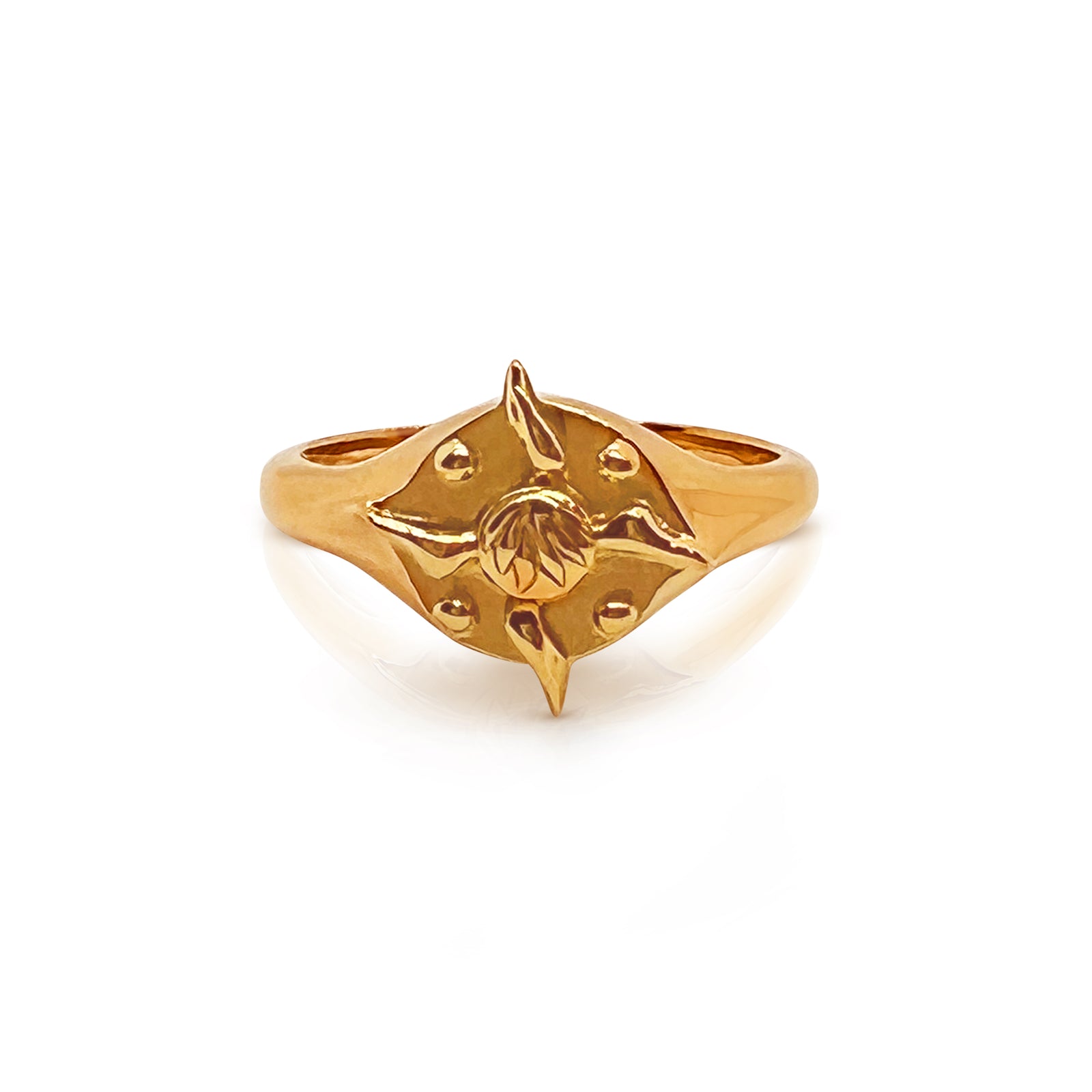 Pathway Signet Ring