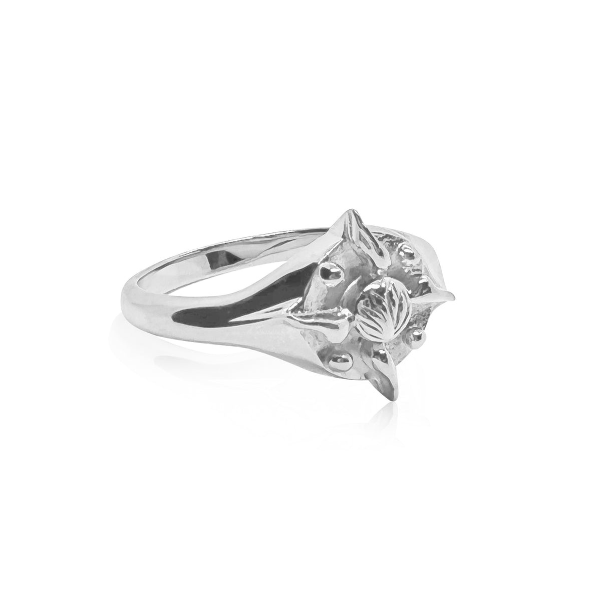 Pathway Signet Ring Silver